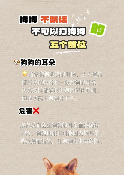 揭秘狗狗不长肉的真正原因（了解这5个原凶，铲屎官要注意了！）