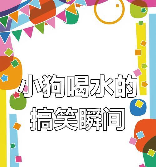 狗狗运动后多久才能喝水？（了解宠物狗饮水时间的重要性）