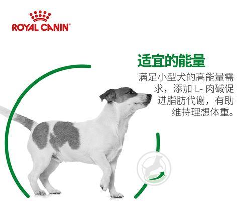 宠物贵宾价格一览（了解贵宾狗的价格和市场行情）