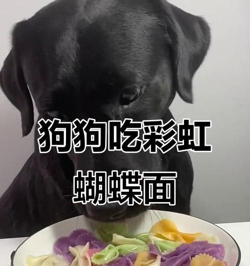 拉布拉多消化时间究竟需要多久？（揭秘拉布拉多消化过程及相关因素）