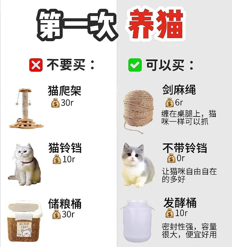 养猫必备的工作与知识（掌握这些关键信息，让你和猫咪的生活更加美好）