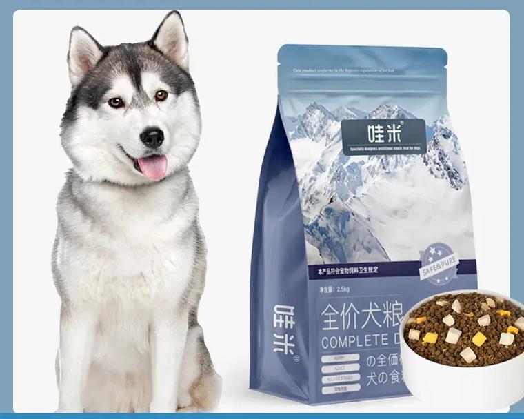 如何照顾好哈士奇？（合理的饮食是关键）