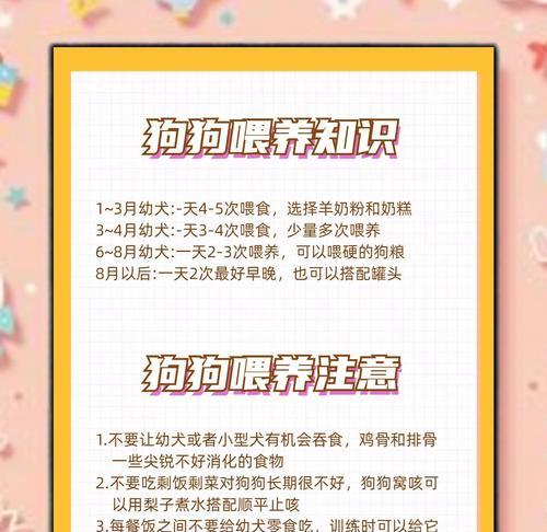 狗狗绝育后进食时间