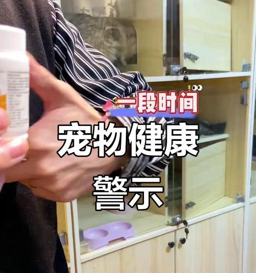狗出现吃什么都吐喝水也吐怎么办？（有效治疗不能轻忽——关注狗的呕吐问题）