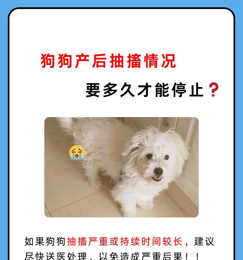 小狗缺钙抽搐的症状及处理方法（了解小狗缺钙抽搐的原因和预防措施，宠物健康更重要）