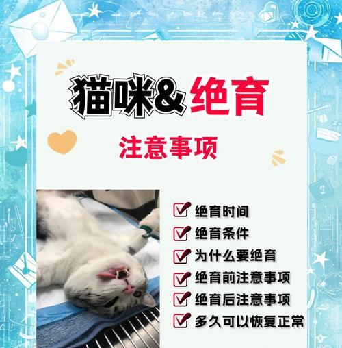 母猫绝育手术的时间和注意事项（了解母猫绝育手术的最佳时间以及手术后的护理要点）