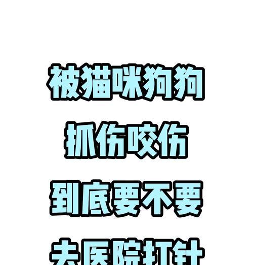 被狗咬伤时的正确处理方法（保护自己，避免感染，急救伤口）