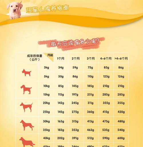 拉布拉多犬的健康体重与调整方法（掌握拉布拉多犬的正常体重，让它们保持最佳状态）