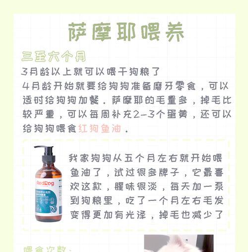 萨摩生宝宝需要多久？（了解萨摩生宝宝的成长时期和时间要求）