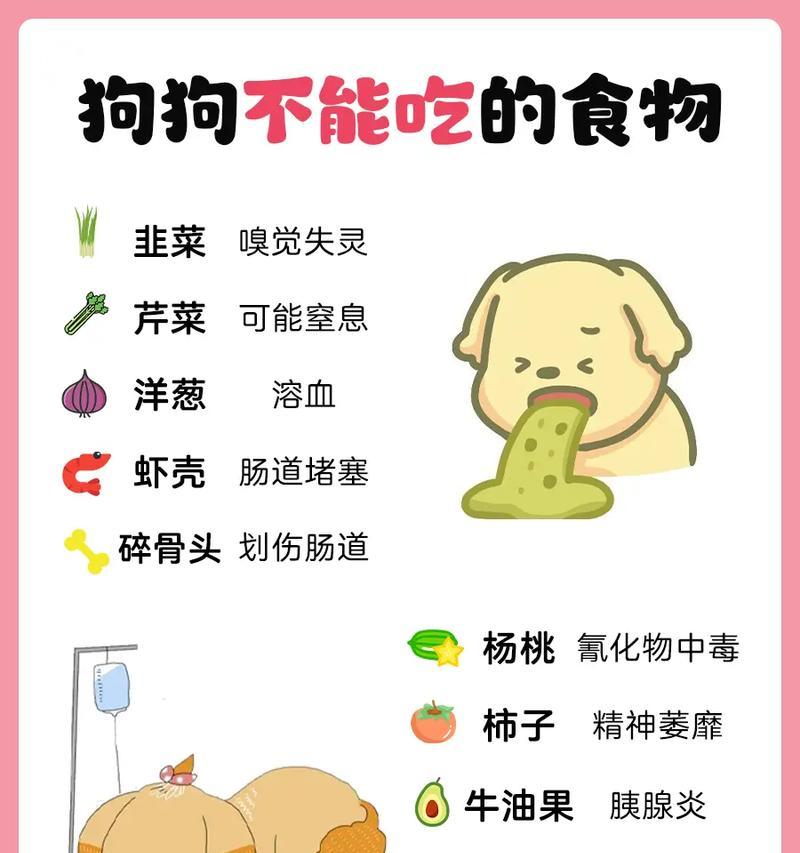 狗身上不能吃的食物（小心！千万不要给狗狗吃这些食物）