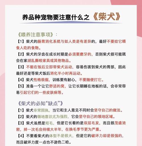 三招让柴犬听话的秘诀（如何有效地训练你的柴犬成为听话的好宠物）