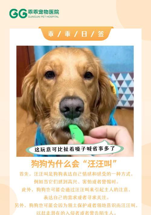 《58个可爱狗狗名，每天汪汪汪，带给主人欢乐》（每个名字都是一个，这些狗狗将给你带来无尽的快乐！）