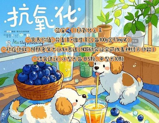狗可以吃哪些水果？（了解适合狗吃的水果，让你的宠物健康快乐）