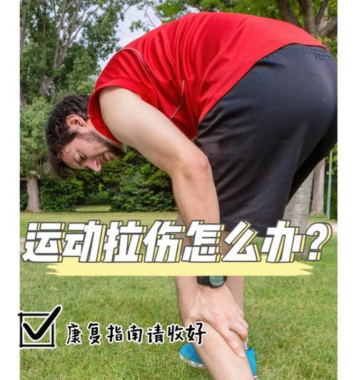 狗狗肌肉拉伤康复时间有多长？（研究表明，狗狗肌肉拉伤康复时间因个体差异而异）
