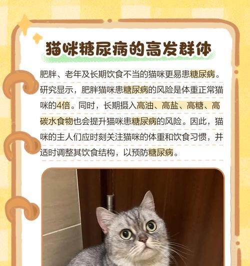 猫咪糖尿病的治愈时间及方法（了解猫咪糖尿病的治疗过程和关键因素）
