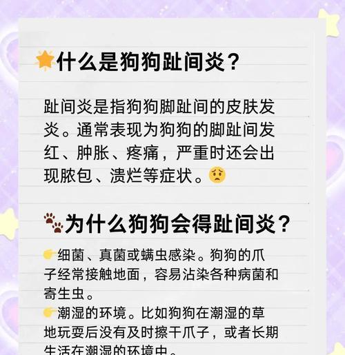 狗狗趾间炎的发病原因与预防措施（了解狗狗趾间炎的成因及如何保护宠物犬的趾间健康）