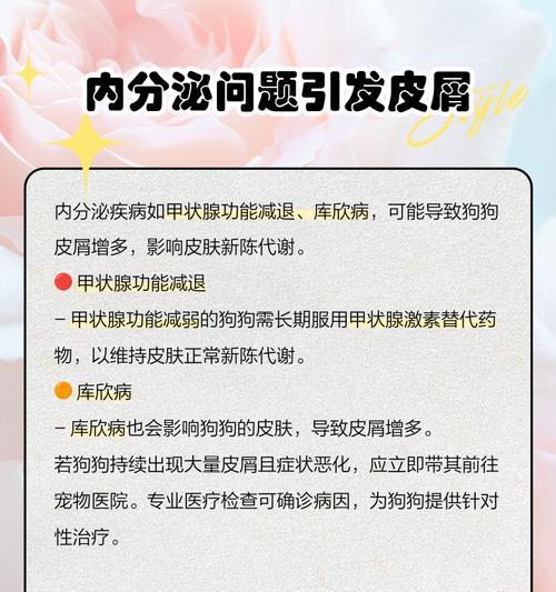 狗狗的皮肤问题（了解狗狗身上出现皮屑的原因，保持狗狗健康的皮肤）