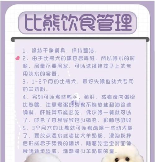 如何挑选一只品相好的比熊（了解比熊的外貌特征和选购要点，为你的宠物生活做出明智选择）