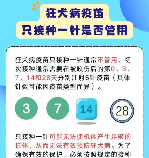 狗狗接种疫苗后的注意事项（打完疫苗后的几大注意事项）