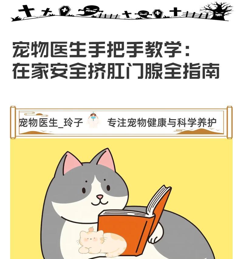 猫咪肛门腺的挤压及其重要性（肥胖的猫容易出现肛门腺问题）