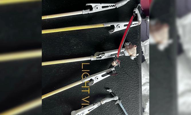 以打磨棒的使用寿命为主题的文章（打磨棒耐用性评估与使用技巧探究）