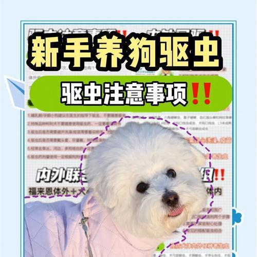 大狗的驱虫频率及注意事项（为保护宠物健康，定期驱虫是必要的）