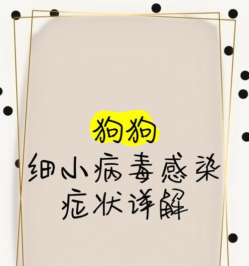 犬细小病毒（了解犬细小病毒的常见症状和预防方法，保护你的爱犬免受感染）