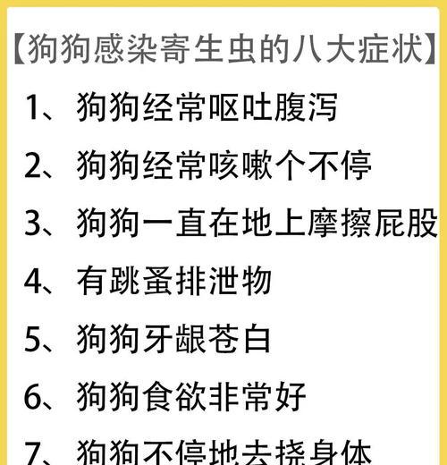 狗和虫子的纠缠（狗爱探索）