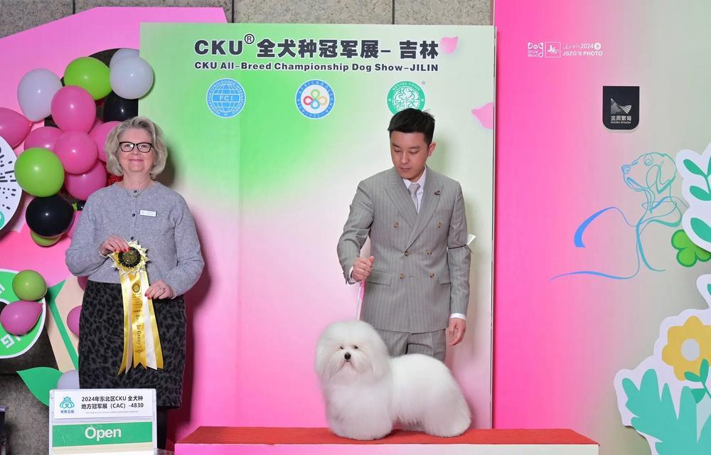 探寻cku犬舍的独特魅力（了解这个犬舍的培育理念与养犬服务）