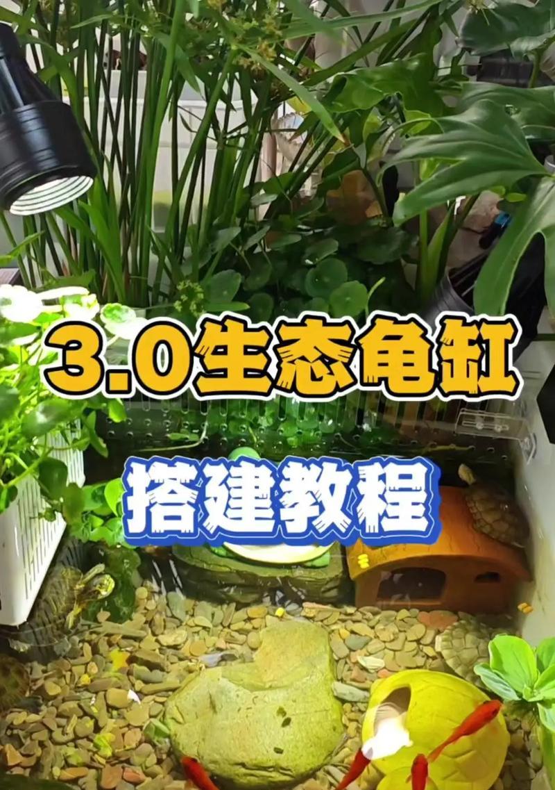 合适的过滤器使用，让龟缸水质更清新（龟缸多久换水才合适？关键是正确使用过滤器！）