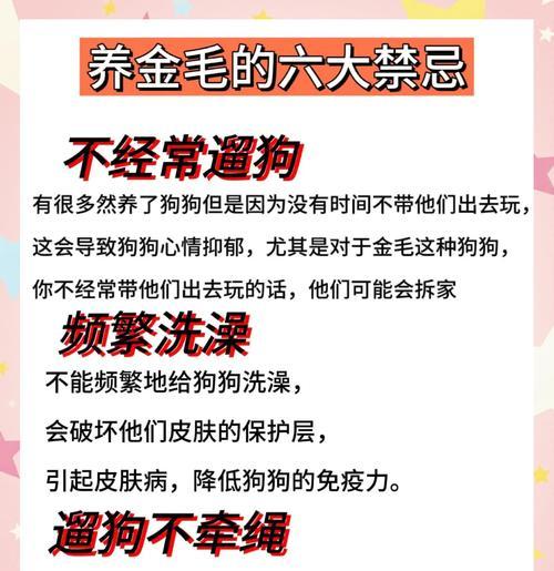 金毛生完多久可以开始遛狗（母狗产后恢复期和遛狗时间的关系）