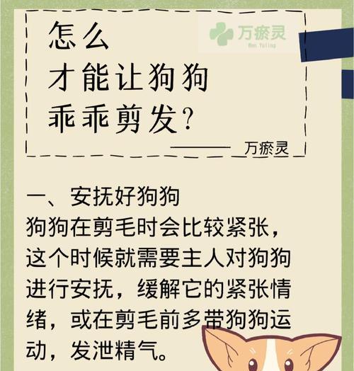 如何正确拔除狗狗耳毛（狗狗耳朵护理技巧及注意事项）