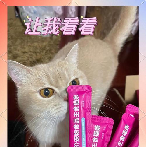 猫粮罐头猫条的搭配秘籍（如何为你的猫提供全面均衡的营养）