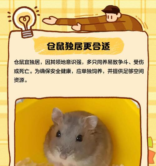 花鸟市场仓鼠的寿命之谜（探究在花鸟市场买的仓鼠能活多久？寻找延长仓鼠寿命的方法）
