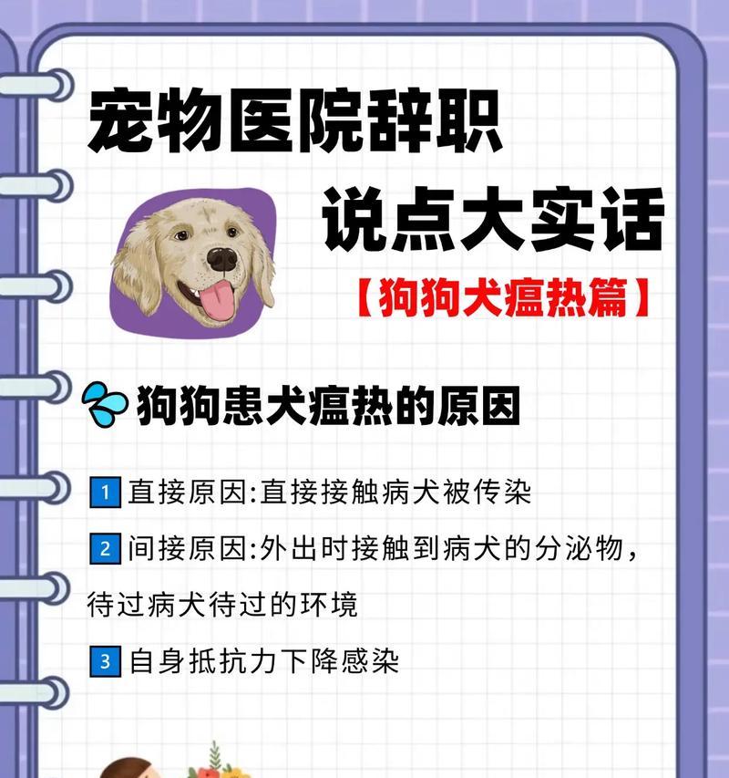犬瘟的传染方式及时间（了解犬瘟传播的关键信息）