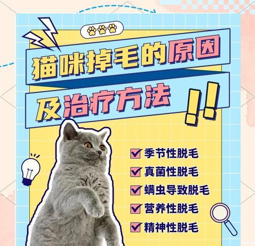猫咪掉毛时间有多久？（了解猫咪脱毛周期，让你的宠物更健康）