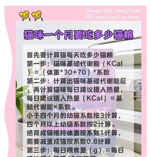 猫咪不同阶段的日常饮食需求（了解猫咪各阶段的食物摄入量以保持其健康）