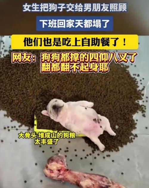 犬的埋葬时间对陷下去的影响（探究犬在土地中的陷落速度与埋葬时间的关系）