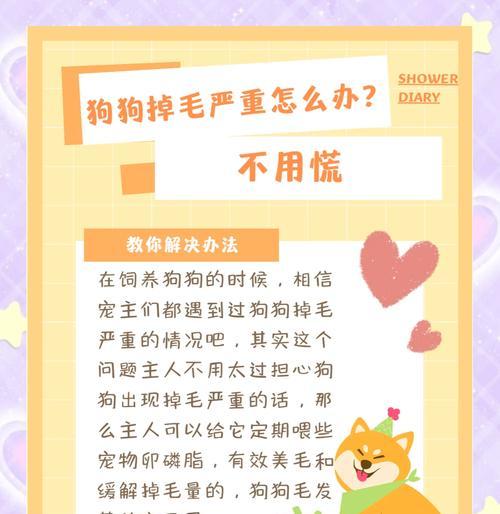 解决狗狗异味，让你轻松养！（远离宠物异味的方法，让你和狗狗共享清新空间）