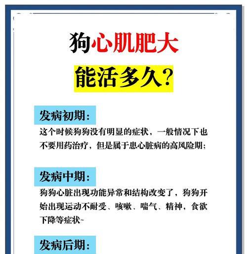 小狗寿命的常见情况及延长方法（了解小狗的寿命及如何增加它们的寿命）