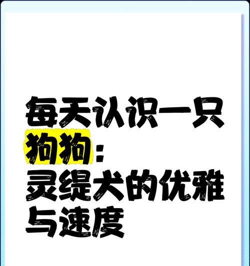 如何判断灵缇犬是否纯种？（灵缇幼犬的纯度鉴别方法及技巧）