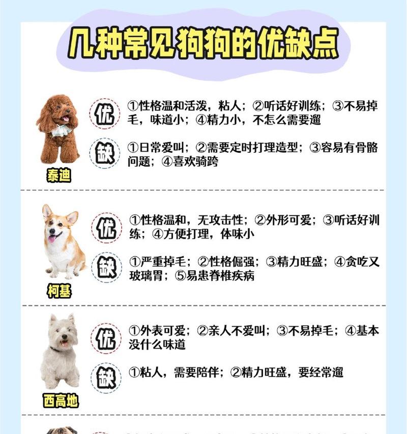 泰迪犬（探究泰迪犬饲养现象的真实原因与背后推动力）