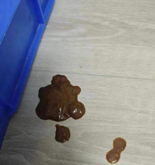 狗狗拉血后需要断食多久？（为了帮助狗狗康复，合理控制饮食时间是关键）