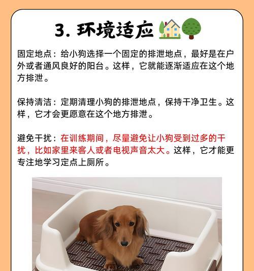 小狗关笼子里的时间究竟应该多久？（小狗关笼子里时间合理安排的关键）
