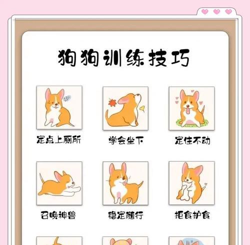 科学喂养，了解狗狗的饮食需求（建立良好的饮食习惯，给狗狗健康成长）