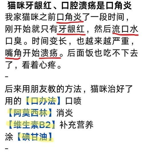 猫咪口腔溃疡的治疗费用及关键因素