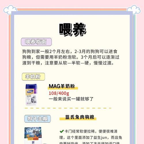 边牧驱虫与疫苗接种的时间安排（科学合理的防疫措施保护边牧健康）