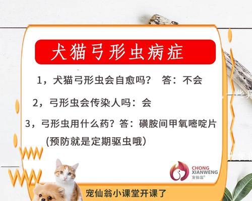 猫绦虫的治疗周期及注意事项（猫绦虫治疗周期长短取决于不同因素）