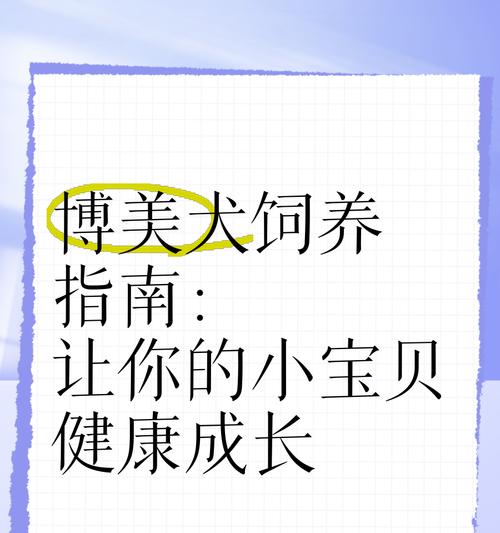 博美饲养小技巧，让你的宠物更健康快乐（掌握关键的饲养要点，让博美宝宝生活更美好）