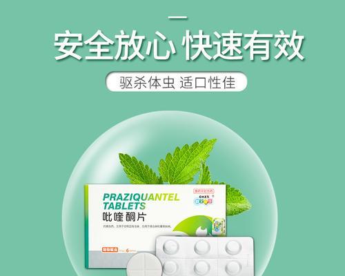 小泰迪何时开始吃驱虫药？（宠物泰迪养护知识详解）